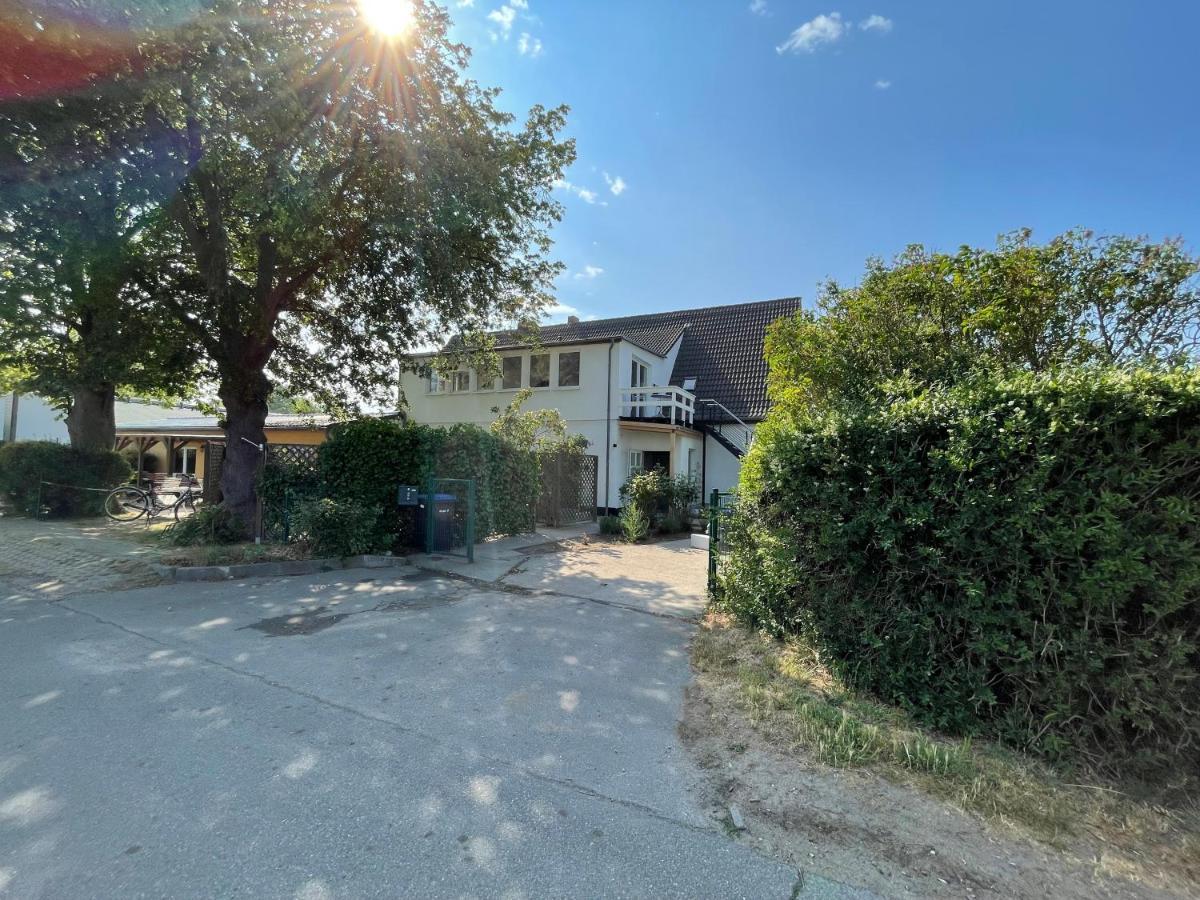 Duenenmeer Ferienwohnung Ostseebad Kühlungsborn Eksteriør bilde